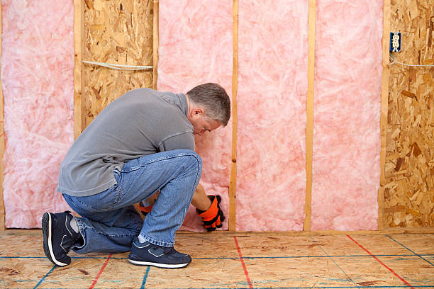 Best Blown-In Insulation  in Leitchfield, KY